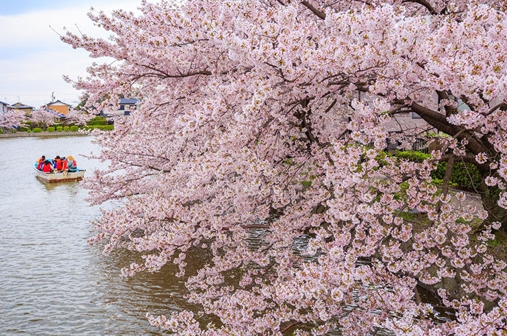 九華公園