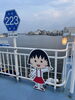 県道223号「船の上から花火鑑賞/静岡の水槽レンタル・プロデュースはアクアデザインブルース/夏のお出かけスポット/」