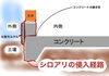 侵入経路「これからシロアリの活動時期になります。」