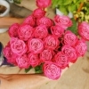 お花を買うならココ！　船橋の花屋さんまとめ