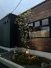 「【新築×外構】お店と暮らしを彩る外構が完成しました！住まいるガーデン」