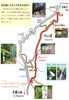 「中山道　一部通行止めについて【南木曽　観光情報】」