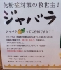 ジャバラ 花粉症の救世主 ジャバラサワー 柴又駅近 葛飾散歩 昼飲み 映える喫茶 レトロ 食べ歩き最高 子連れok ランチ お持ち帰り テラス席 おじぎ茶屋のニュース まいぷれ 葛飾区