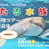 おたる水族館特別体験ツアー参加者募集！