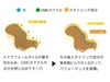 「【商品】トリエ エマルジョン８｜ヘアーメイク　カラーズ」