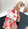 晴れ着のラテちゃん(^▽^)「新年のご挨拶と1月のおやすみをご案内」