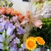 【まいポdeお散歩企画】下総中山の花屋、midoriya plusさんでまいポを貯めてみた！