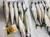 「魚魚市場鮮魚コーナーおすすめは「イサキ・アジ」です♪」