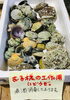 「魚魚市場鮮魚コーナーおすすめは「シャコ・ミナ」「和歌山県紀州産あゆ」です♪」