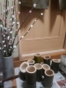 「お正月花の準備」