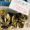「魚魚市場鮮魚コーナーおすすめは「クロ・貝類」です♪」