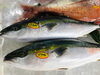 「魚魚市場鮮魚コーナーおすすめは「天然鯛」「天然ぶり」です♪」