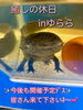 「☘癒しの休日inゆらら開催報告☘ (9/19)」