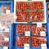 「名産地より『さくらんぼ』入荷しました！道の駅木曽福島」