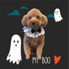 「Dog salon mofu mofu　余市町」