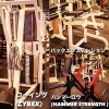 背中専用マシン