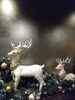 シルバーの壁面にはホワイトを「白のクリスマス！赤のクリスマス！」