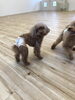 ふたり仲良しです　♡「ましゅまろ幼稚園　（＾ν＾）」