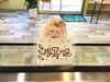 1番人気いちごのミルフィーユ並んでます「お雛様飾りました」