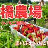 恵庭市【大橋農場】※今シーズンは終了致しました。
