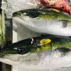 「魚魚市場鮮魚コーナーおすすめは「あじ・サバ」です♪」