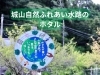 ホタル舞う幻想的な風景が相模原にもあります！