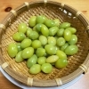 「《11/17(金)は臨時休業致します》」