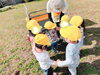 「お気に入り♪♪ 【交野市 小規模保育園】」