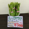 「夏も新発田のアスパラ!!」