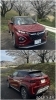 四国中央市の桜も満開ですね🌸「4月のお休みのお知らせです🐕💓」