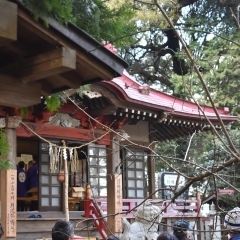 鳥見神社（印西市小林）で節分祭が行われました。