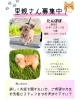「2025/11/22㈯ 譲渡会(所沢市)保護犬参加情報！⑳トイプードル　埼玉/所沢・入間・狭山・川越・飯能 　東京/東大和・武蔵村山・東村山・東久留米・小平・立川」