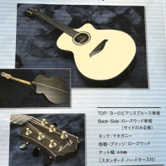 フェアリーギター