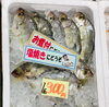 「魚魚市場鮮魚コーナーおすすめは「イトヨリ」です♪」