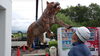 「鉄筋ブロントザウルス」