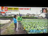東リポーターと最後の収録…🥹「☆カラフル野菜の小山農園『ミヤネ屋』無事にオンエア📺☆」