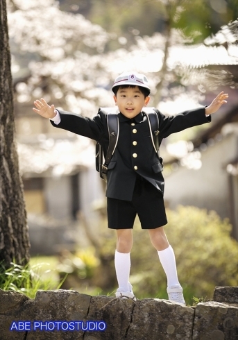船川八幡宮様で桜ロケ撮影♪「桜ロケも素敵だけど、通学路ロケもおススメです！」