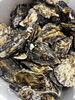 広島直送大粒牡蠣「本日限定！広島直送大粒牡蠣＠青梅（河辺エリア）の小料理が美味しい隠れ家的居酒屋【酒処 圭】」