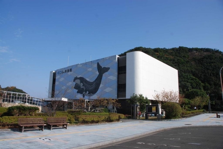 知ってた 和歌山で撮影された映画 ドラマ イチオシ情報 まいぷれ 和歌山市 知ってた 和歌山で撮影された映画 ドラマ イチオシ情報 まいぷれ 和歌山市