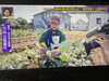昨年オンエアされた動画も再度流して頂き感謝です！「☆3度目の出演！『情報7days』（TBS）☆」