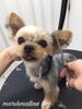 「冬のオプションキャンペーン　(^-^)」