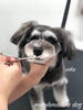 「冬のオプションキャンペーン　^ - ^」