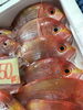 「魚魚市場鮮魚コーナーおすすめは「イサキ」です♪」
