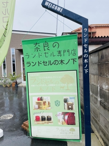 天理街道沿の店舗、グリーンの旗が目立ちます「ランドセルの木ノ下さんのニュース！　　ランドセルバンク継続中♪」