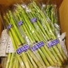 「岩手県産　JAいわて花巻　「アスパラガス」の出荷が始まっていますよー！！」
