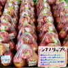 夏りんご『シナノリップ』「信州産フルーツがたくさん入荷しました！」