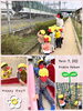 色々な遊びを楽しんできました（╹◡╹）「きらきらプチコンサートへようこそ♪【交野市・小規模保育園】」