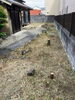 「浜松市中区で草刈り、伐採作業、除草剤散布【浜松で遺品整理・生前整理・お掃除・不用品回収ならプロハーツ】」