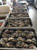 低温調理の岩牡蠣。美味…「初盆は、折詰で」