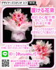 「お誕生日の花束は、枯れなくて倒れないものを【福山駅近くのおしゃれな花屋】」